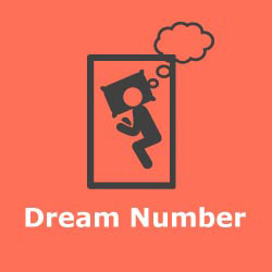 Dream Numbers